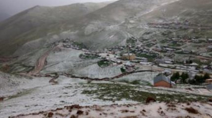 Kazıkbeli Yaylası Beyaza B&uuml;r&uuml;nd&uuml;