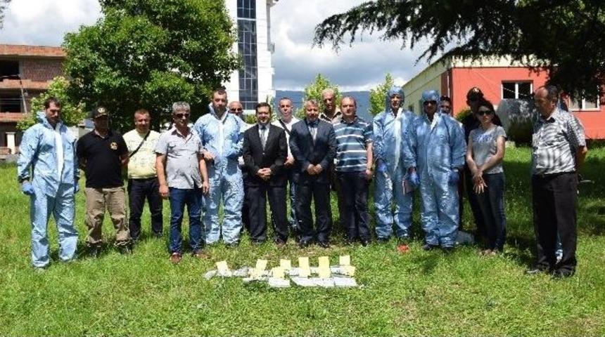 Arnavutluk Emniyet Teşkilatı Personeline Eğitim