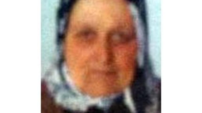 Kayseri'de Bir Kişi Keneden &Ouml;ld&uuml;