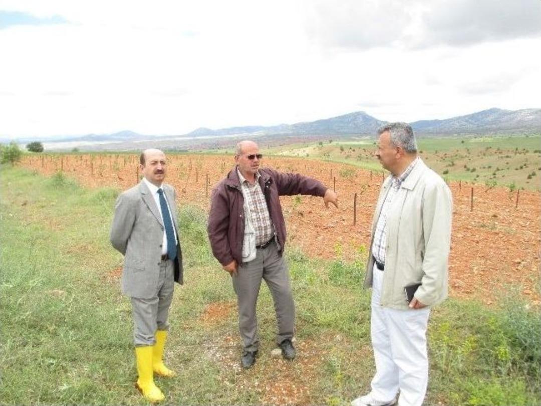 &Ouml;ztiryaki, Doludan Zarar G&ouml;ren K&ouml;ylerde