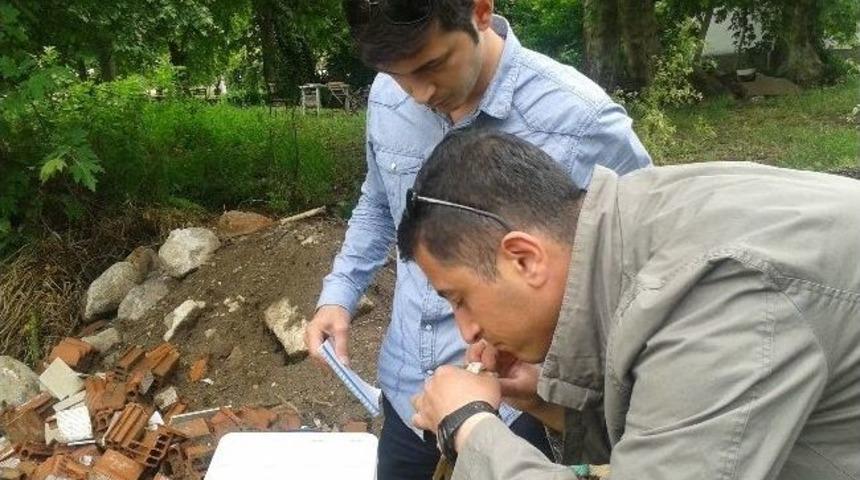 Kocabaş &Ccedil;ayındaki Balık &Ouml;l&uuml;mleri Araştırılıyor