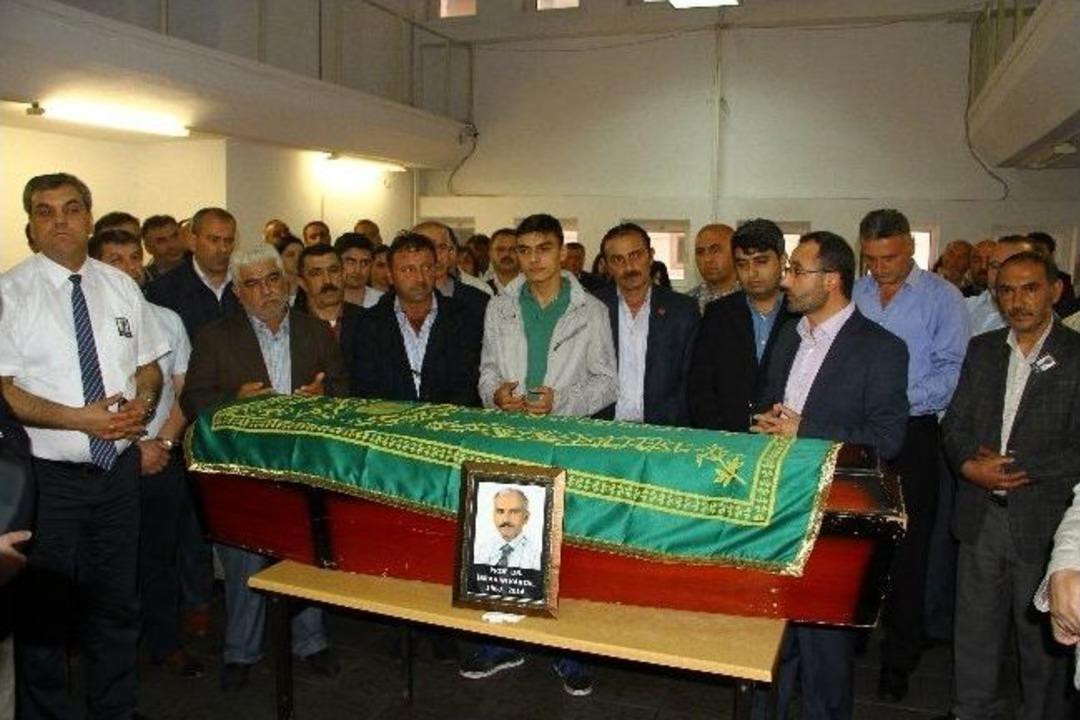 Dut Ağacıdan D&uuml;şerek &Ouml;len Profes&ouml;r İ&ccedil;in T&ouml;ren D&uuml;zenlendi