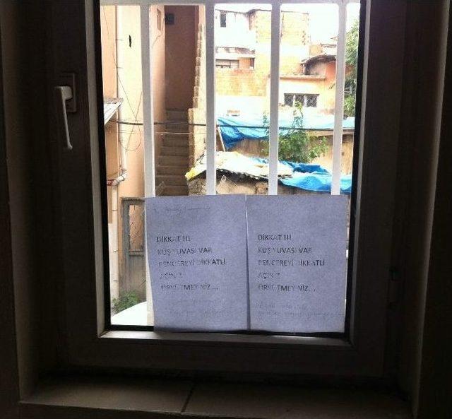 “dikkat, Kuş Yavası Var Ürkütmeyiniz” 1