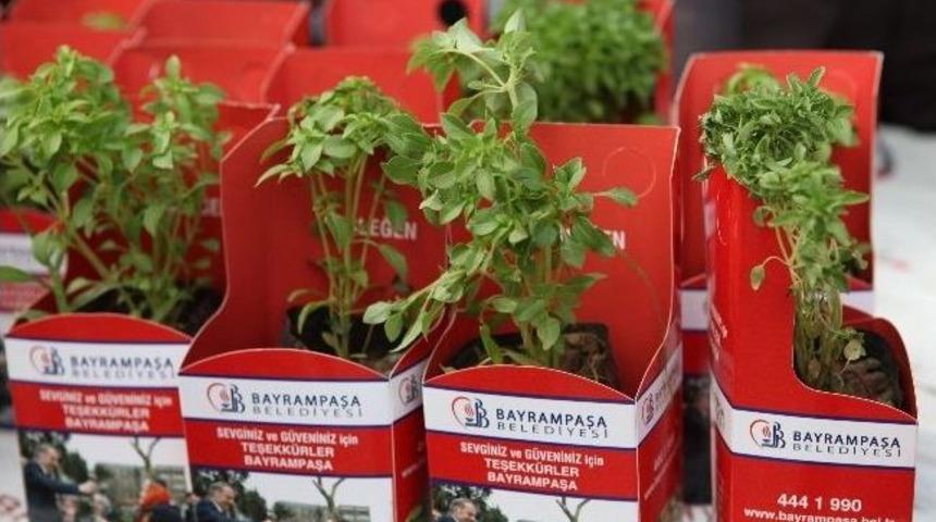 Bayrampaşa'da 100 Bin Fesleğen Dağıtıldı