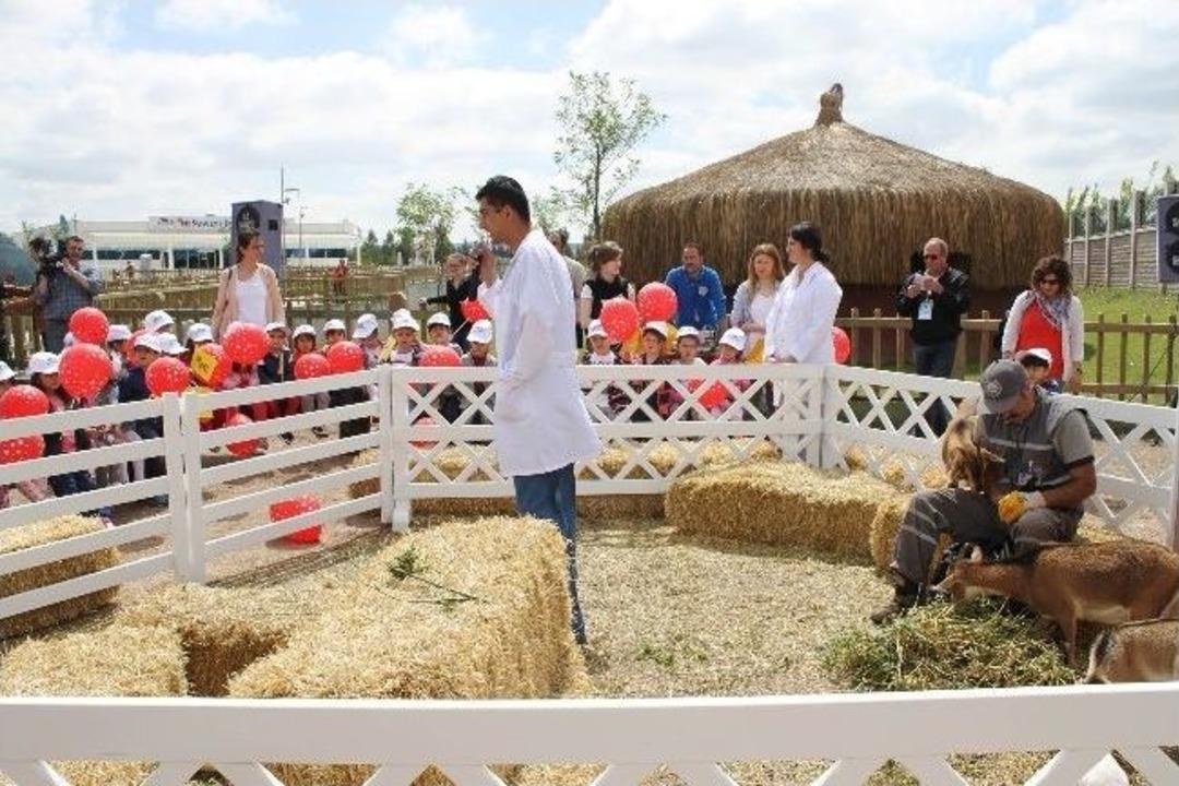 Su Altı D&uuml;nyasında &Ccedil;evre Koruma Haftası Kutlaması