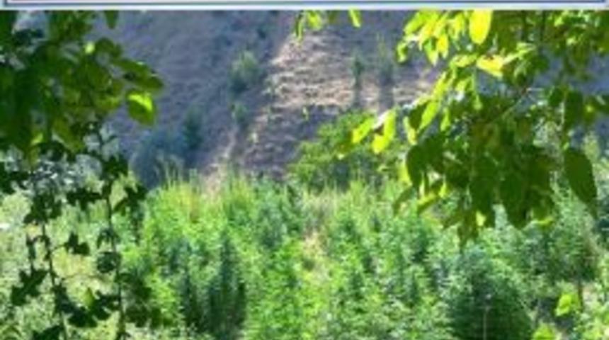 Denizli&rsquo;de Uyuşturucu Operasyonu: 9 G&ouml;zaltı