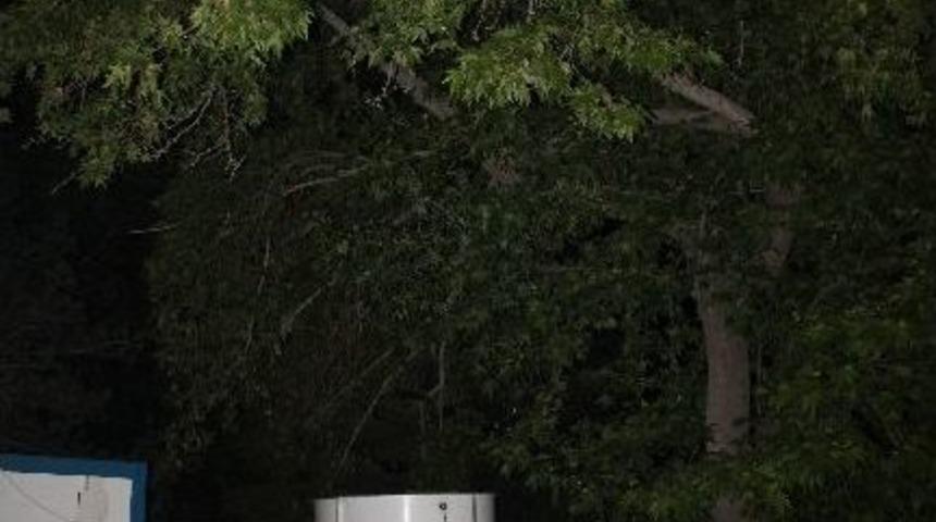 Şantiye Alanındaki Ağa&ccedil;larda Hırsız Alarmı