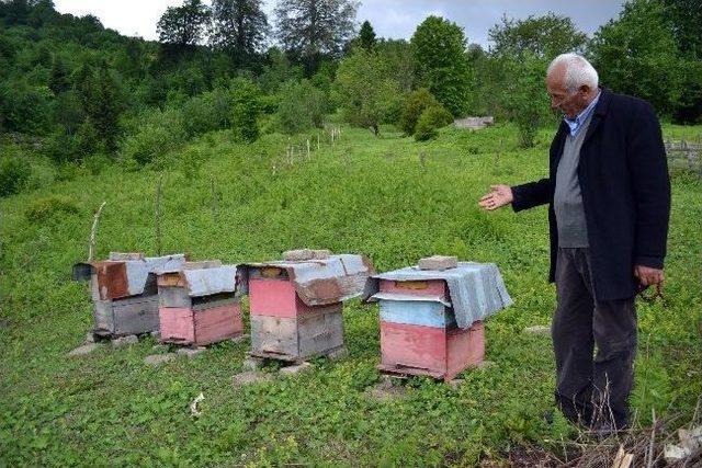 Bu Mesleği Yapanlar Yaşlanmıyor