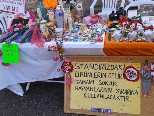 Sahipsiz Hayvanların Urla Sanat Sokağı’nda Bir Standı Var