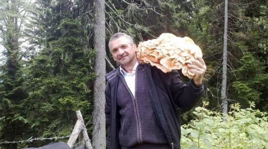 Dev Mantar G&ouml;renleri Şaşırttı