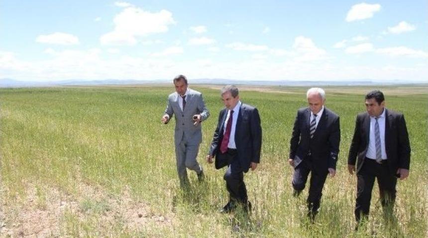 Yozgat Valisi Abdulkadir Yazıcı Doludan Zarar G&ouml;ren Tarım Arazilerini İnceledi