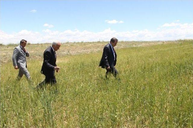 Yozgat Valisi Abdulkadir Yazıcı Doludan Zarar Gören Tarım Arazilerini İnceledi