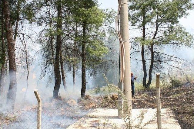 Marmaris’te Şiddetli Lodos Yangına Yol Açtı