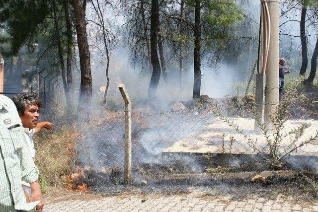 Marmaris’te Şiddetli Lodos Yangına Yol Açtı