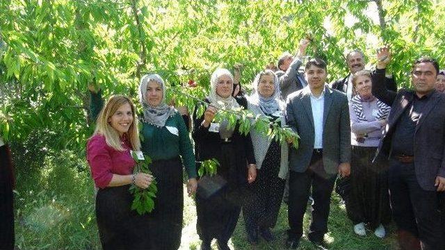 Niğde&rsquo;nin Budamacı Kadınları 1