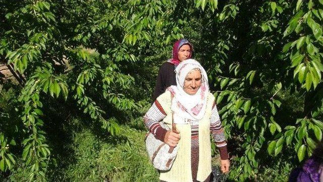 Niğde&rsquo;nin Budamacı Kadınları 2