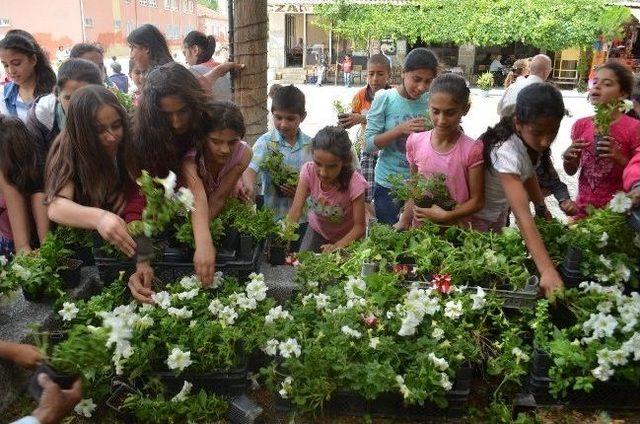 S&ouml;ke&rsquo;de &Ccedil;evre G&uuml;n&uuml; Etkinlikleri 1