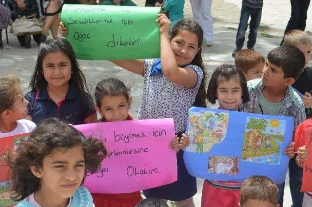 S&ouml;ke&rsquo;de &Ccedil;evre G&uuml;n&uuml; Etkinlikleri 2