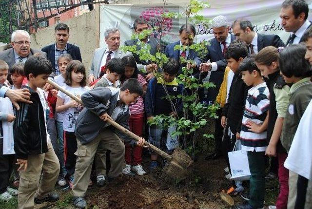 İgdaş, Okulları Erguvanlarla Renklendiriyor