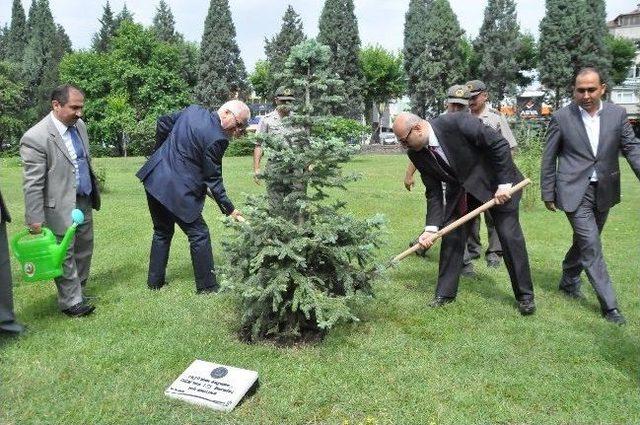 Sakarya Orman Bölge Müdürü Hasan Türkyılmaz: