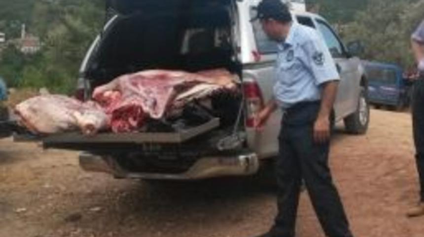 İzmit Zabıtası’ndan Kaçak Ete Geçiş Yok