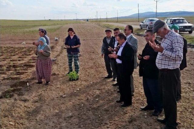 Boğazlıyan Müftüsü Güler, Dolu Yağışından Zarar Gören Çiftçilere Geçmiş Olsun Ziyaretinde Bulundu