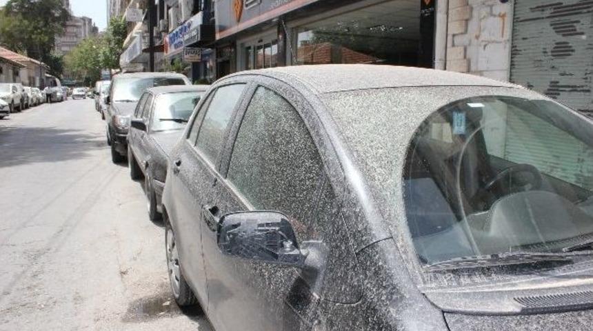 İzmir'de &Ccedil;amur Yağdı Oto Yıkamacılar Bayram Etti