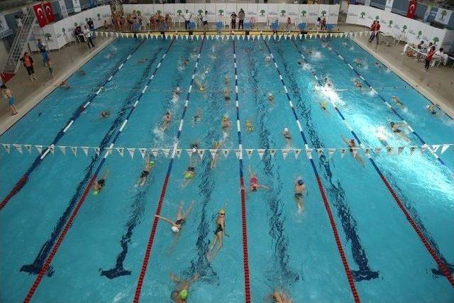 Alleben Havuzlarına &ldquo;temiz Havuz Sertifikası&rdquo; &Ouml;d&uuml;l&uuml; 1