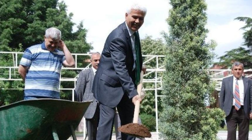 Ormanı Yakana Hapis Cezası