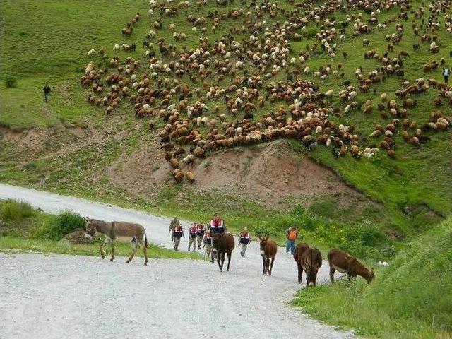 Posoflular Ayaklanınca S&uuml;r&uuml;ler Geri Gitti 1