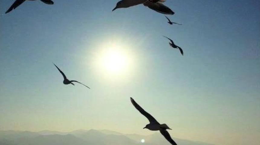 "hayattan Kareler&rdquo; Konulu Fotoğraf Yarışması Sonu&ccedil;landı