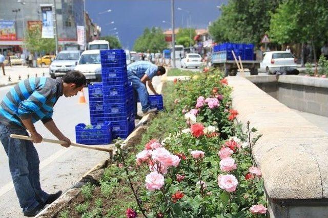 Dörtyol Kavşağına Çiçek Dikimi