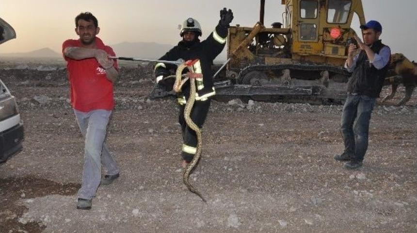 Kamyonetin Motoruna Giren Yılanı İtfaiye &Ccedil;ıkardı