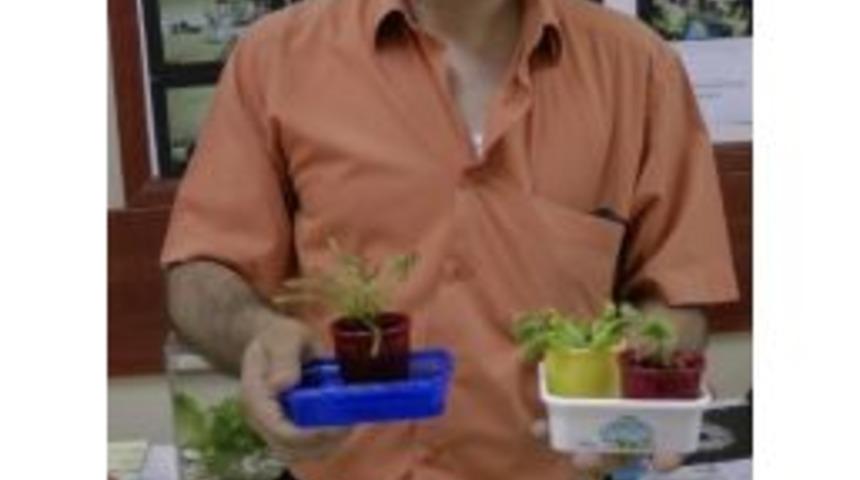 B&ouml;cek Yiyen Bitkiler İlgi &Ccedil;ekti