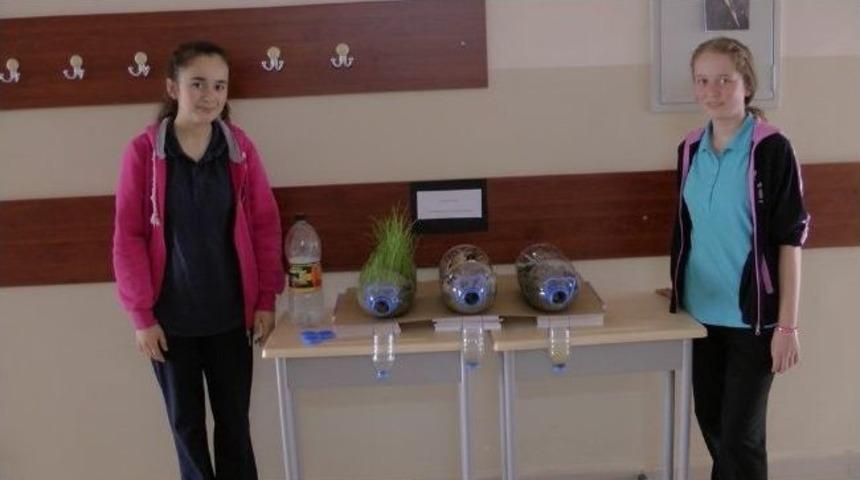 Bilim Şenliği Sergisi