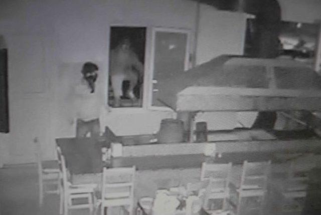 Fethiye de Hırsızlar Bahşiş Kutularına Dadandı 1