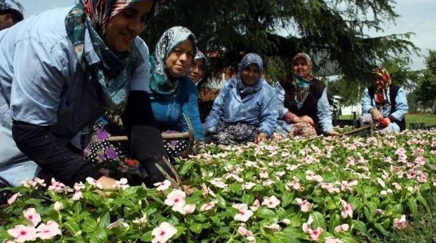 (&ouml;zel-haber) Şehrin G&uuml;zellik Krali&ccedil;eleri