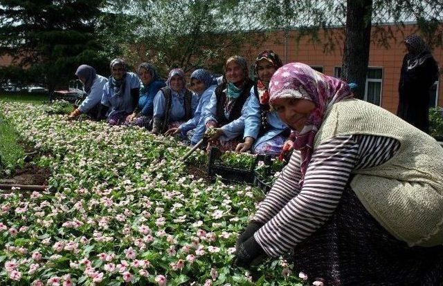 (özel-haber) Şehrin Güzellik Kraliçeleri