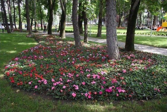 (özel-haber) Şehrin Güzellik Kraliçeleri