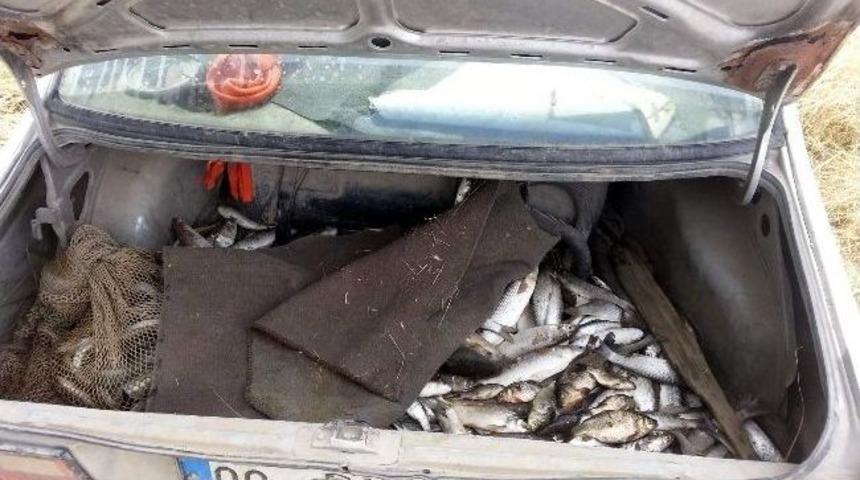 B&uuml;y&uuml;k Menderes Ve Azmaklarda Su &Uuml;r&uuml;nleri Avcılığı Denetimleri Yapıldı