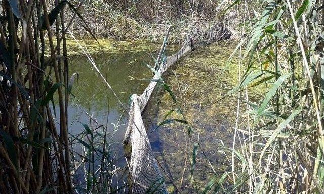 B&uuml;y&uuml;k Menderes Ve Azmaklarda Su &Uuml;r&uuml;nleri Avcılığı Denetimleri Yapıldı 1