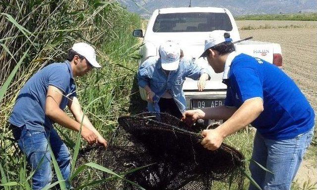 B&uuml;y&uuml;k Menderes Ve Azmaklarda Su &Uuml;r&uuml;nleri Avcılığı Denetimleri Yapıldı 2