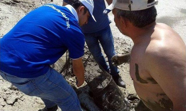 B&uuml;y&uuml;k Menderes Ve Azmaklarda Su &Uuml;r&uuml;nleri Avcılığı Denetimleri Yapıldı 3