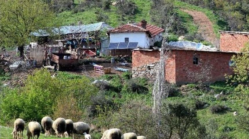 Aydınlı &Uuml;retici Y&uuml;zde 50&rsquo;lik Hibe İle Aydınlandı