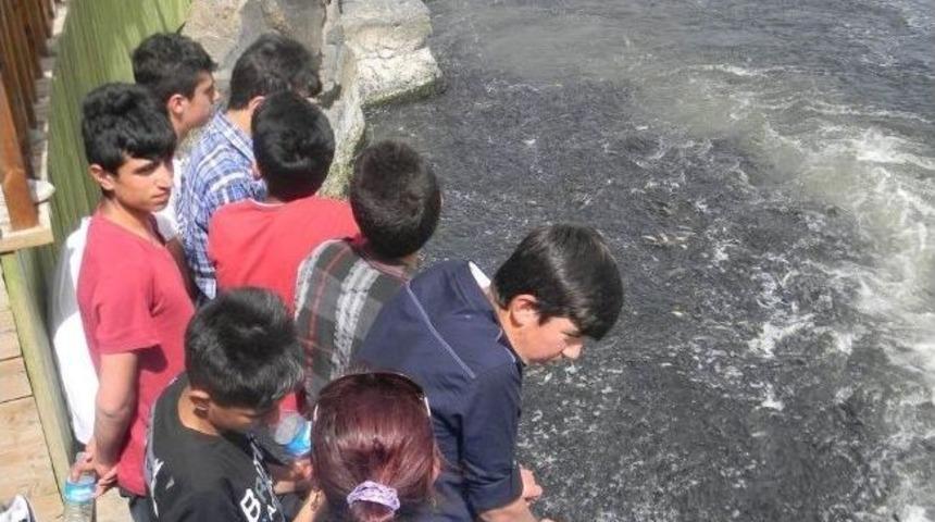 &Ouml;zalplı &Ouml;ğrenciler Van'ın Tarihi Ve Turistik Yerlerini Gezdi