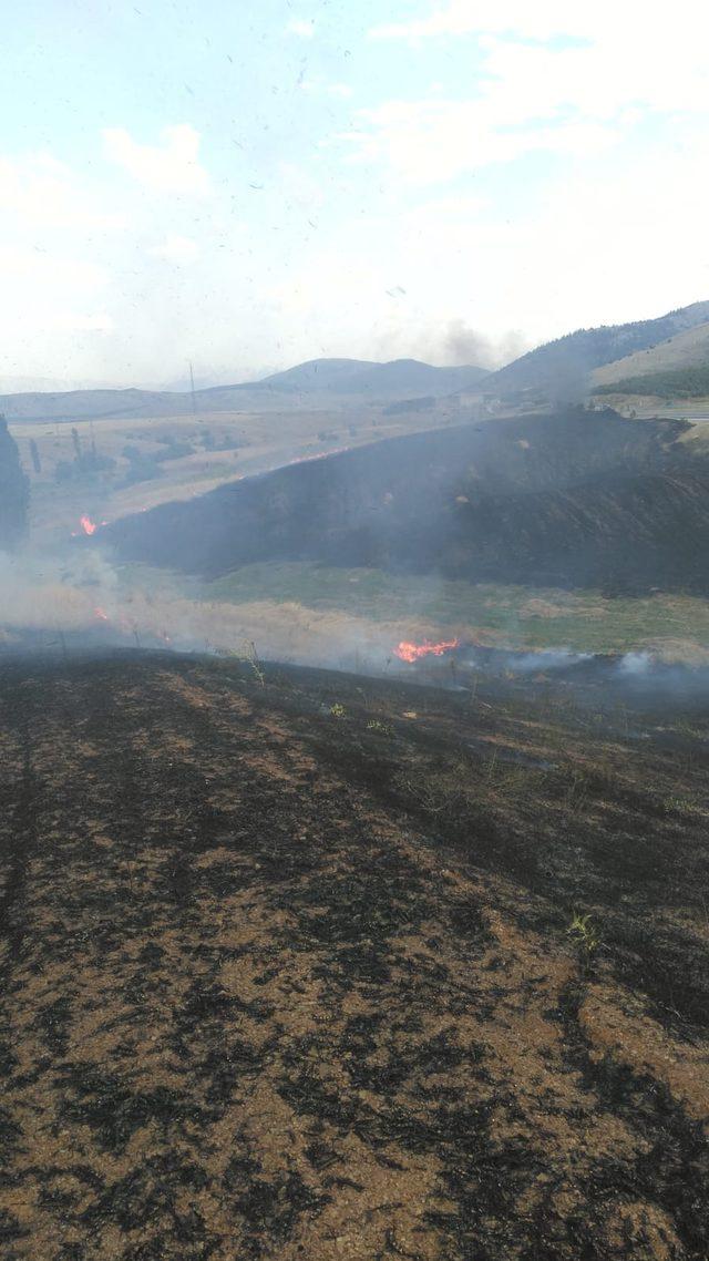 Bariyerlere çarpıp yanan TIR, buğday tarlası ile meyve bahçesini de yaktı