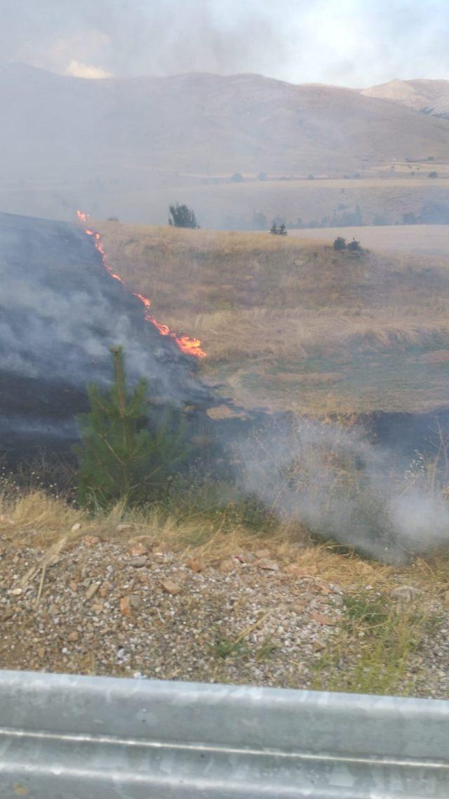 Bariyerlere çarpıp yanan TIR, buğday tarlası ile meyve bahçesini de yaktı