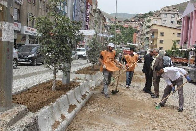 Hakkari’deki Orta Refüjlere New Chorsy Taşları Döşendi