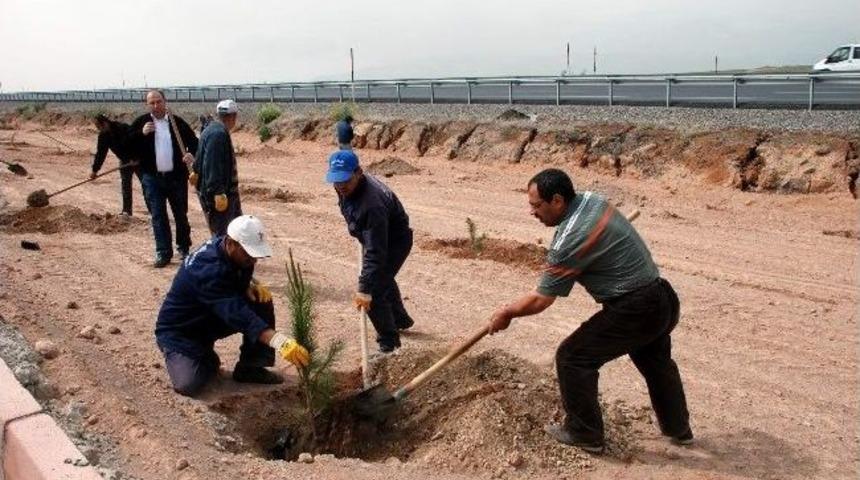 5 Haziran D&uuml;nya &Ccedil;evre G&uuml;n&uuml;nde Ağa&ccedil;landırma &Ccedil;alışmaları Devam Ediyor
