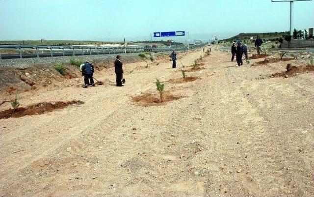 5 Haziran Dünya Çevre Gününde Ağaçlandırma Çalışmaları Devam Ediyor